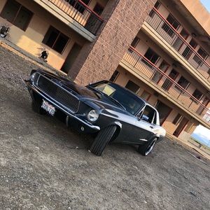 Meet your Posher, David